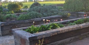 off the rails creative landscaping