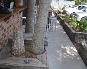 off the rails creative landscaping