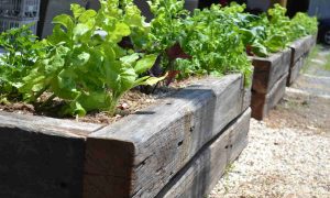 off the rails creative landscaping