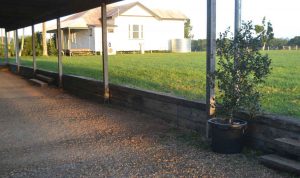 off the rails creative landscaping