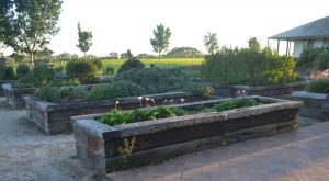 off the rails creative landscaping